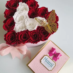 Chocolate Boxes